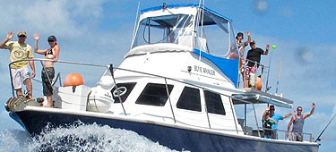 reef fishing in cairns